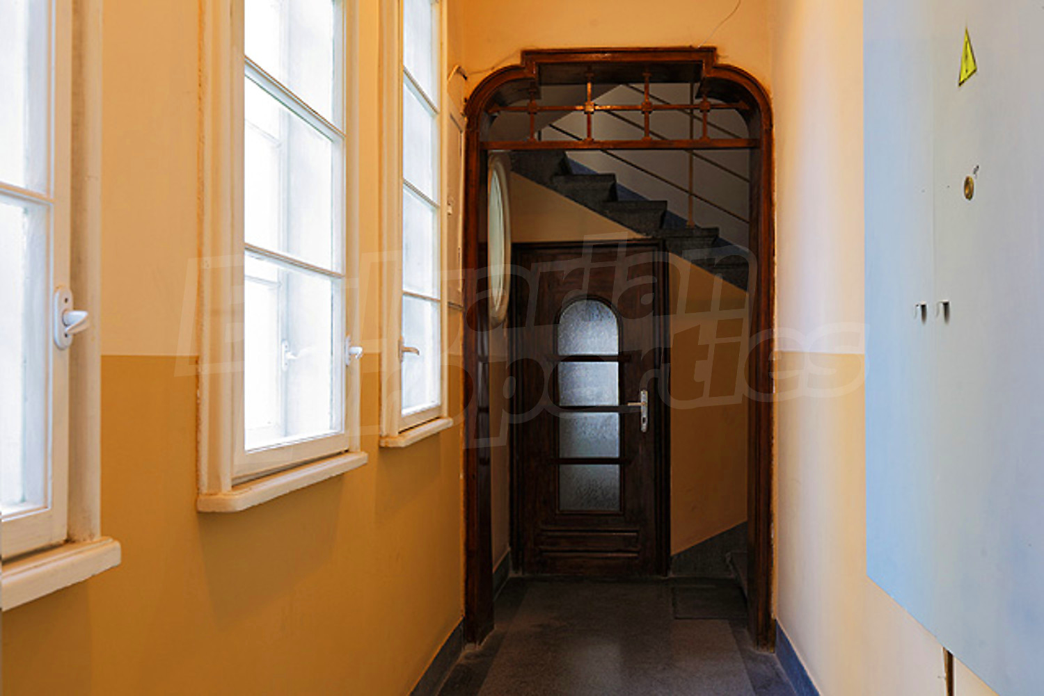 Gallery Picture 43