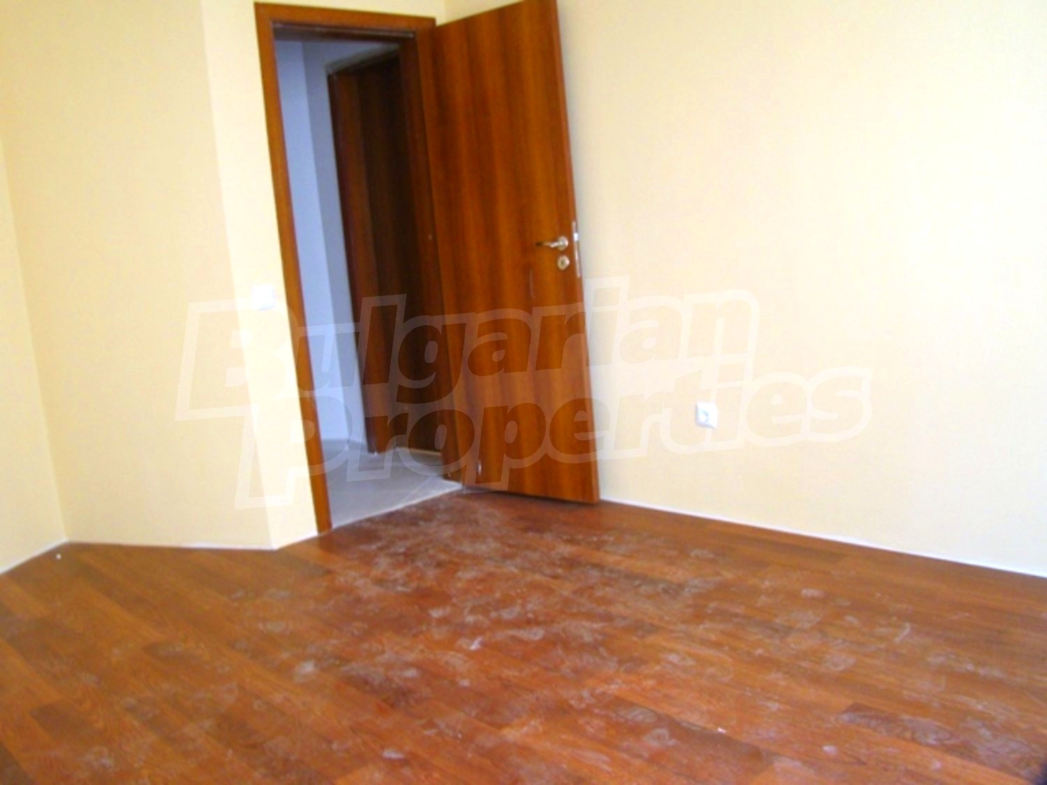 Gallery Picture 17