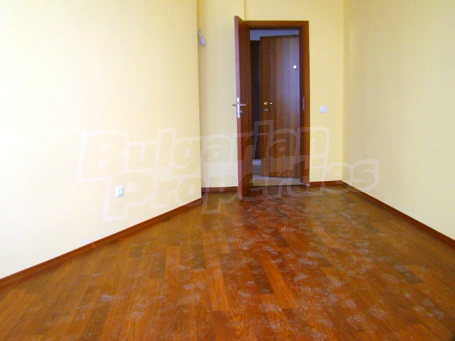 Gallery Picture 19