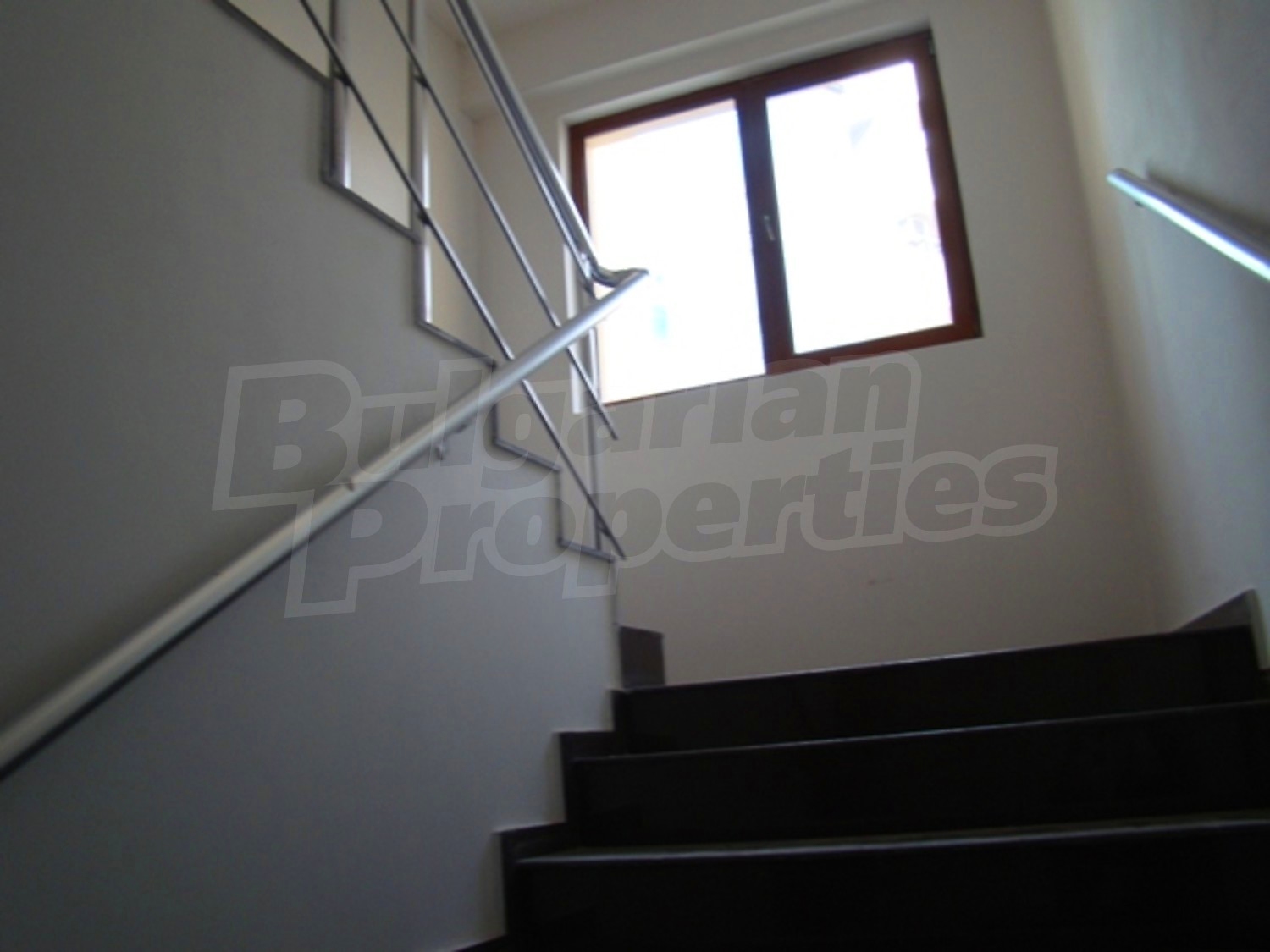 Gallery Picture 28
