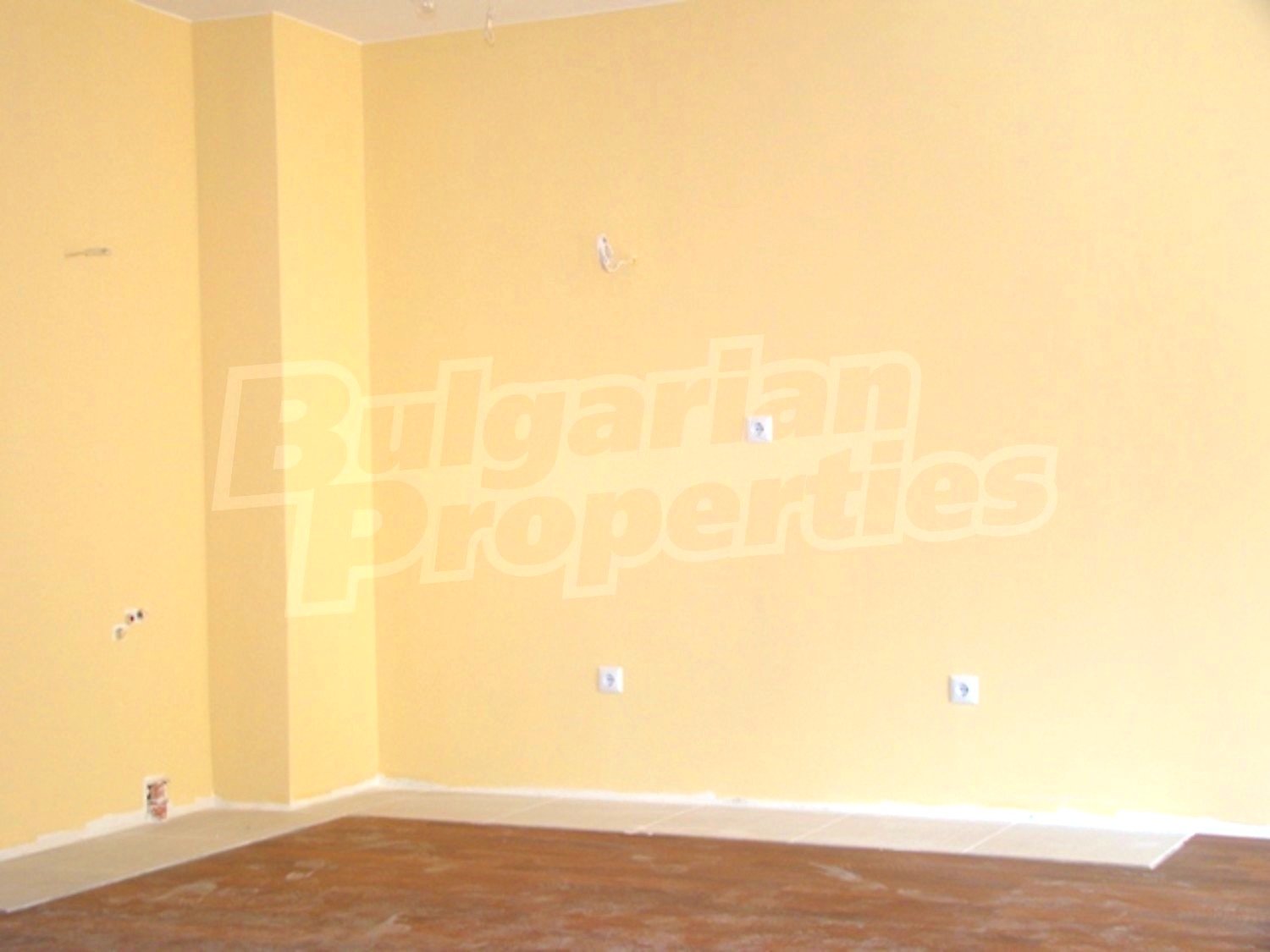Gallery Picture 8