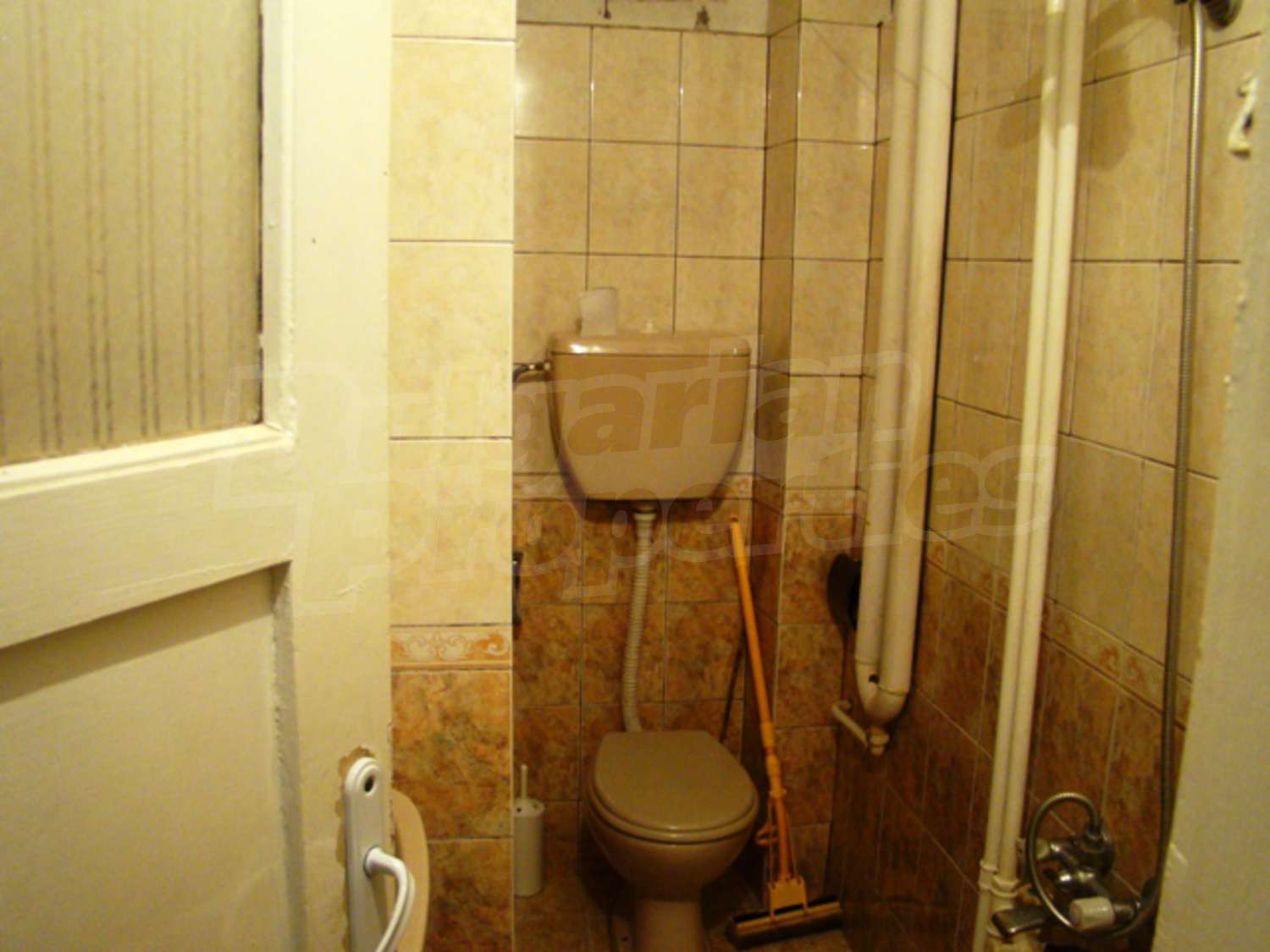 Gallery Picture 29