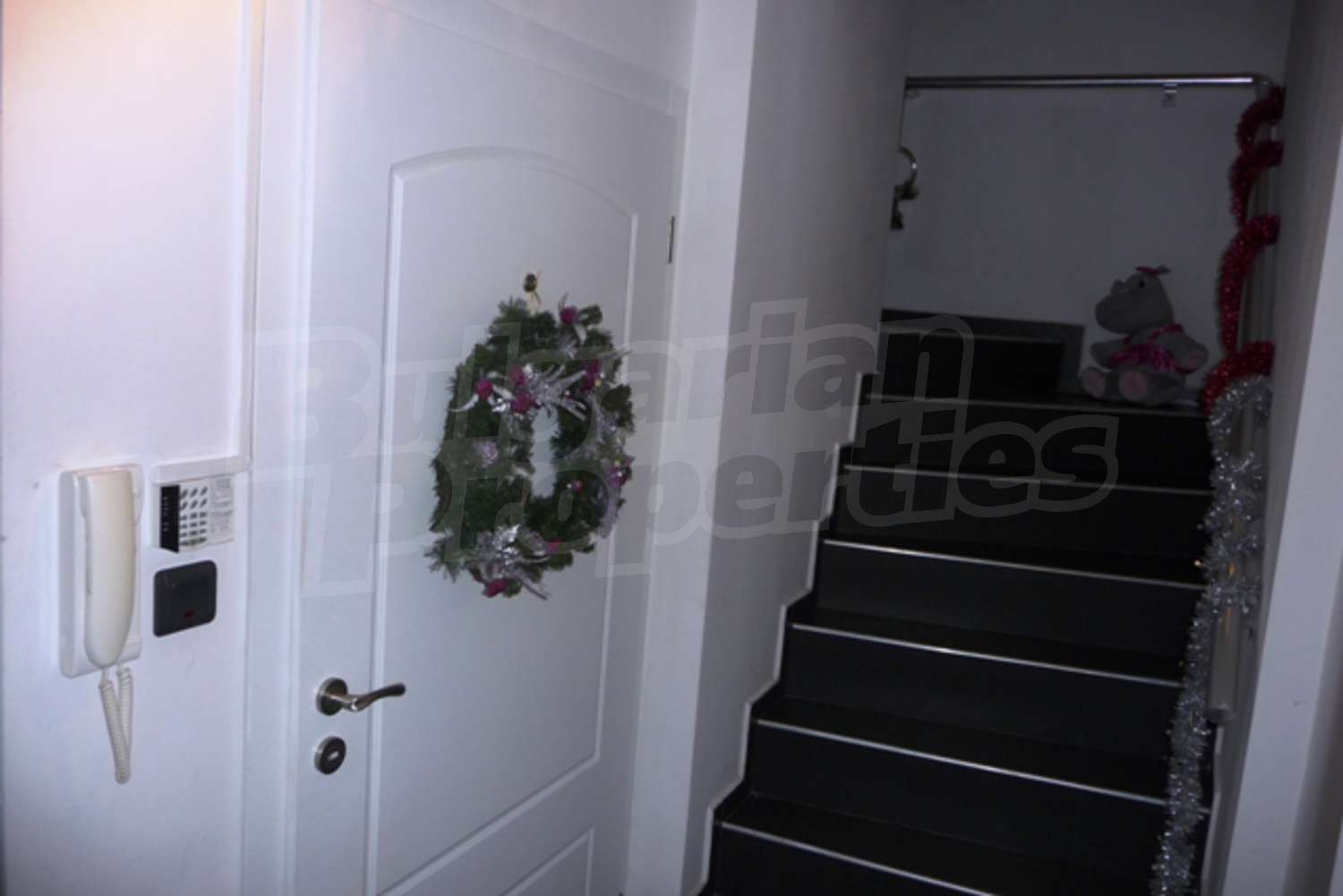 Gallery Picture 34