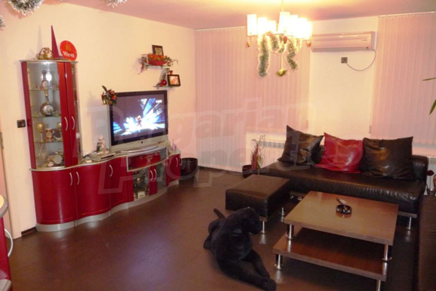 Gallery Picture 9