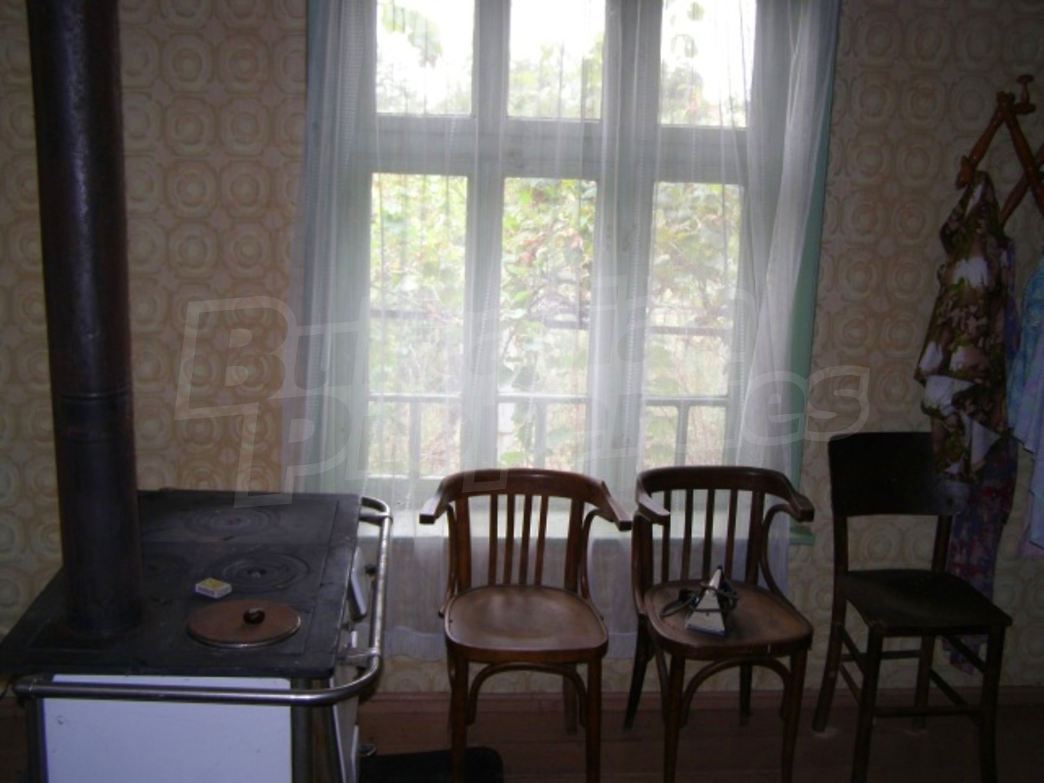 Gallery Picture 17