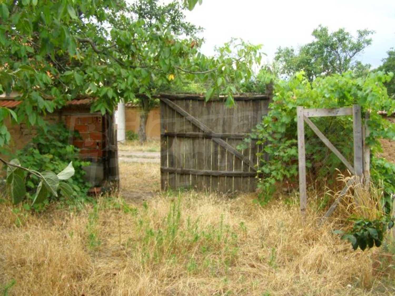 Gallery Picture 19