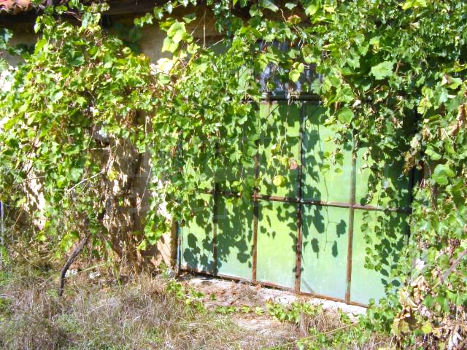 Gallery Picture 21