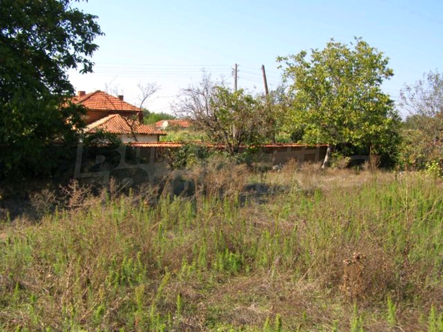 Gallery Picture 28