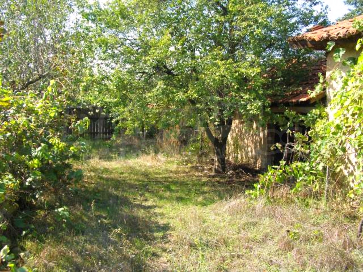 Gallery Picture 32