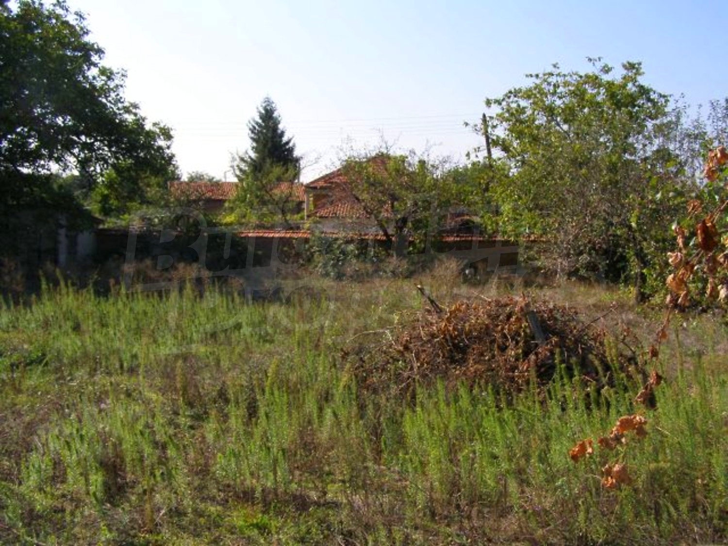Gallery Picture 33