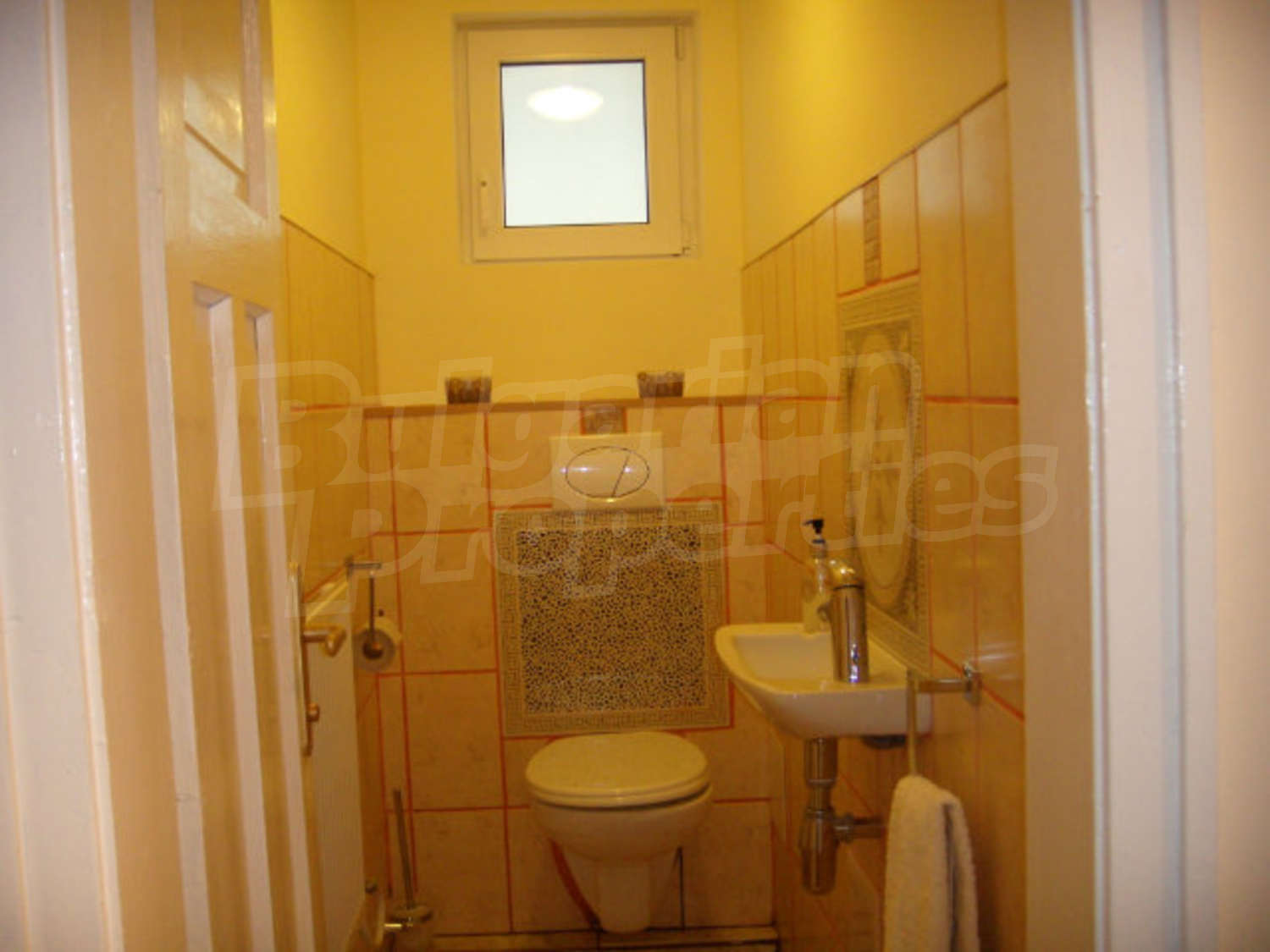 Gallery Picture 19