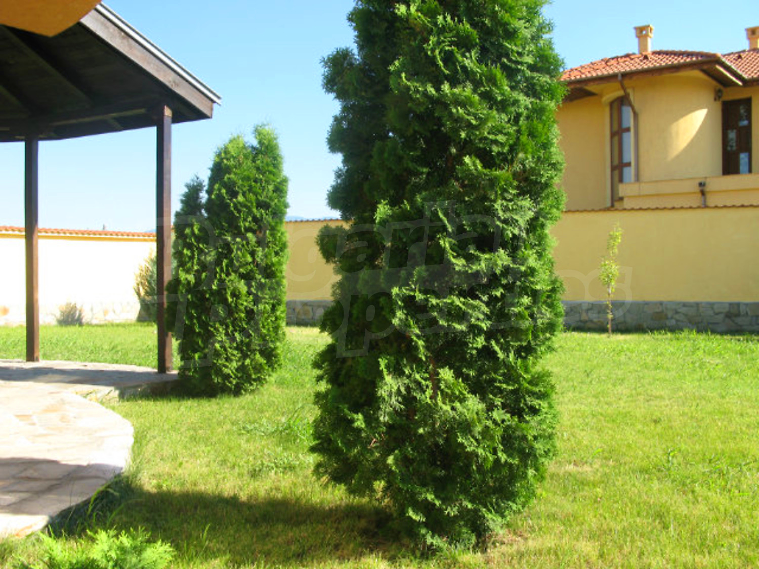 Gallery Picture 30