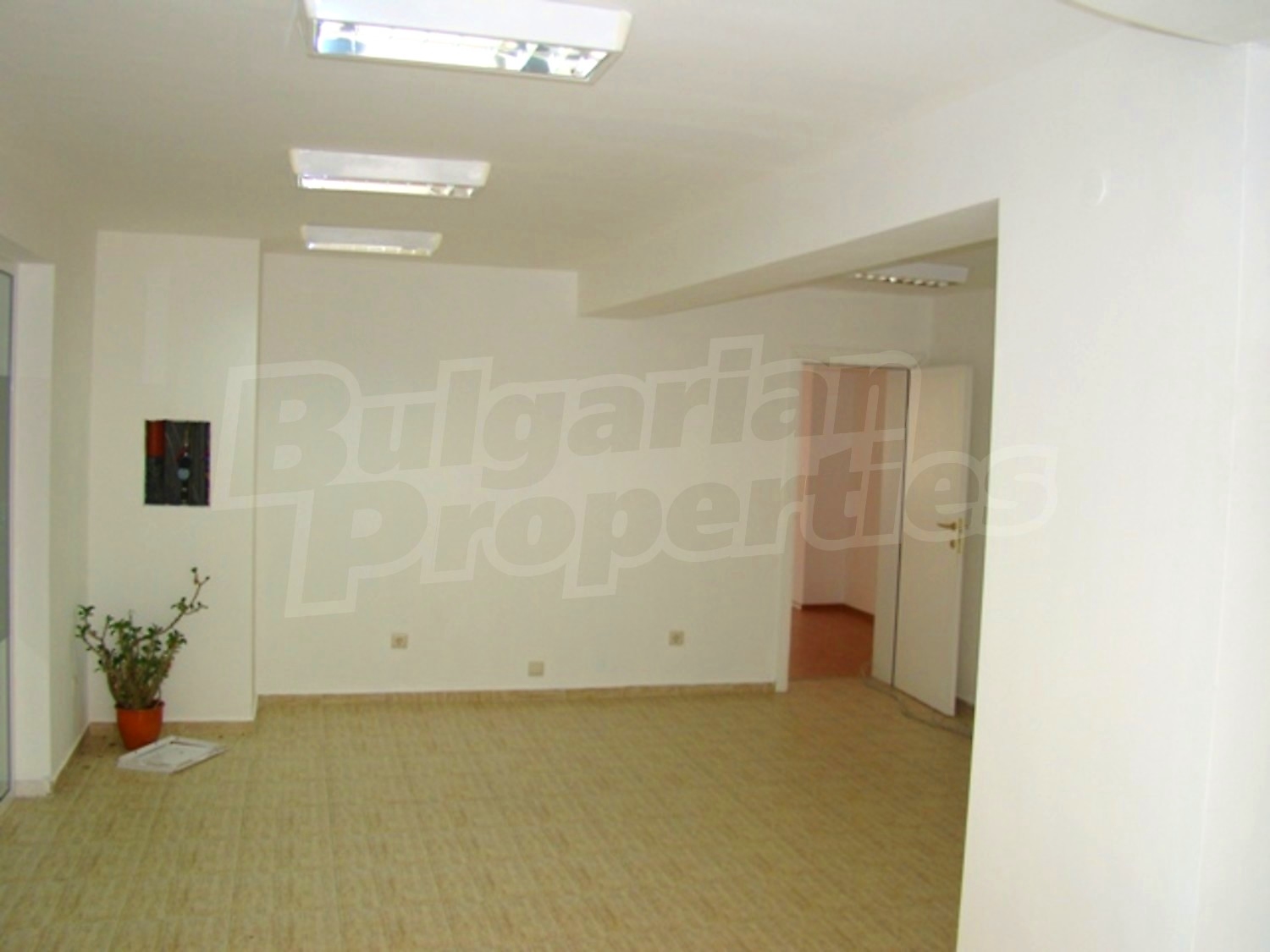 Gallery Picture 15