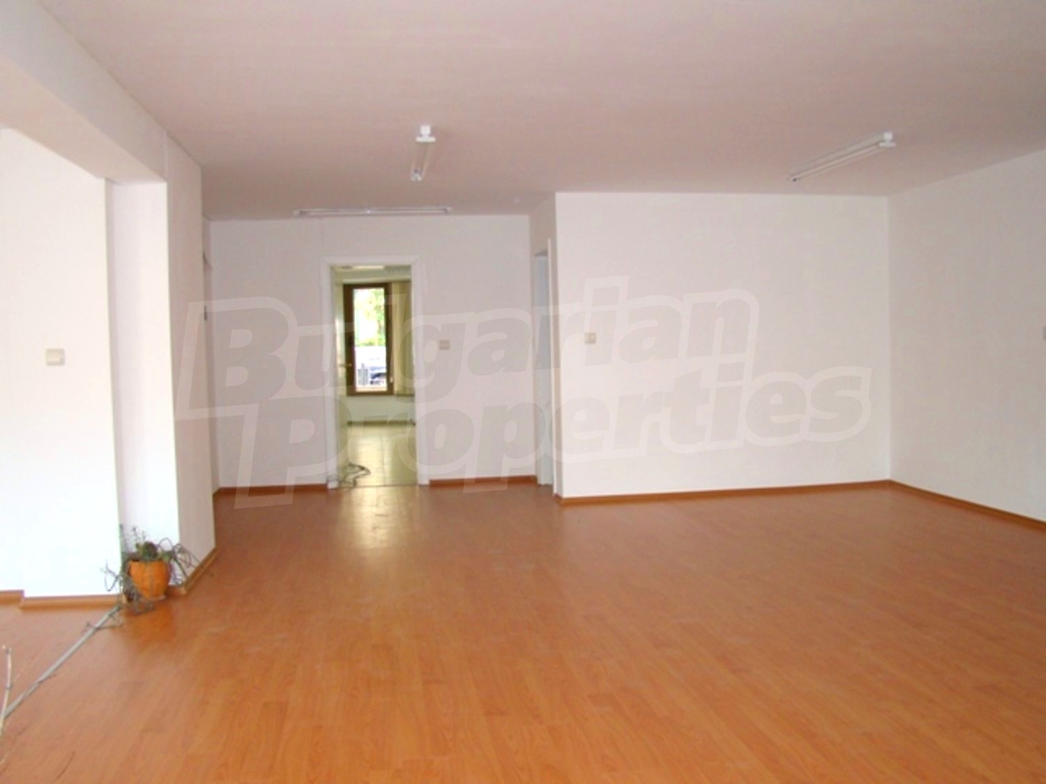 Gallery Picture 25