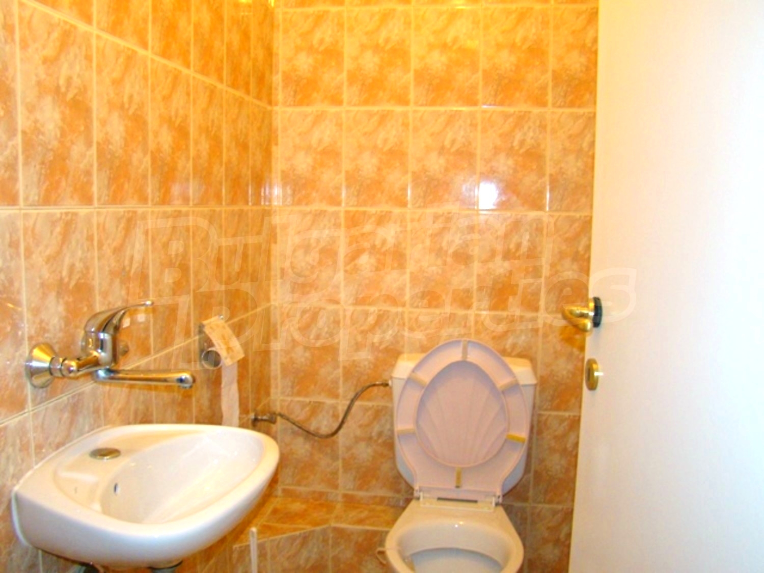 Gallery Picture 26
