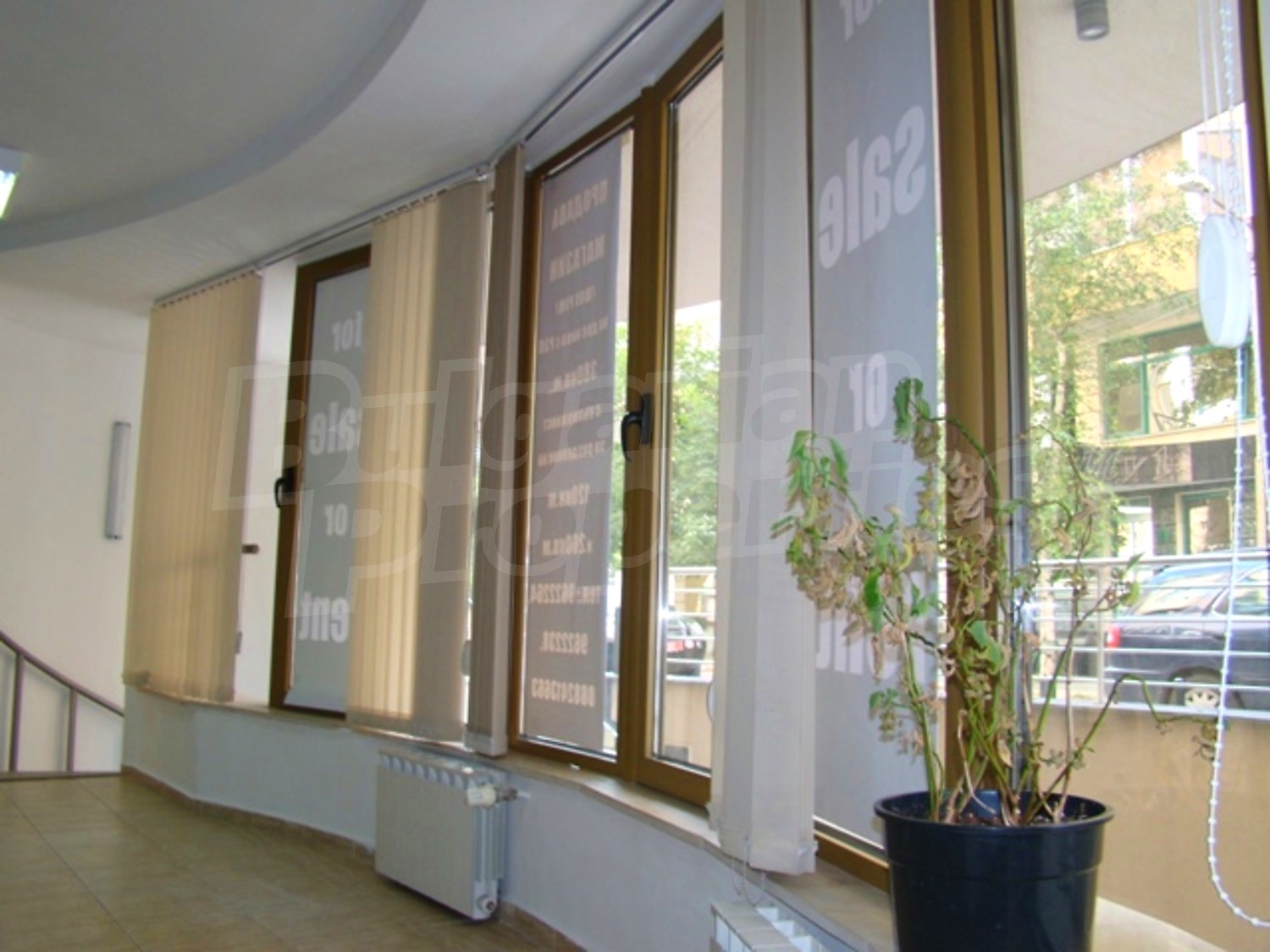 Gallery Picture 9