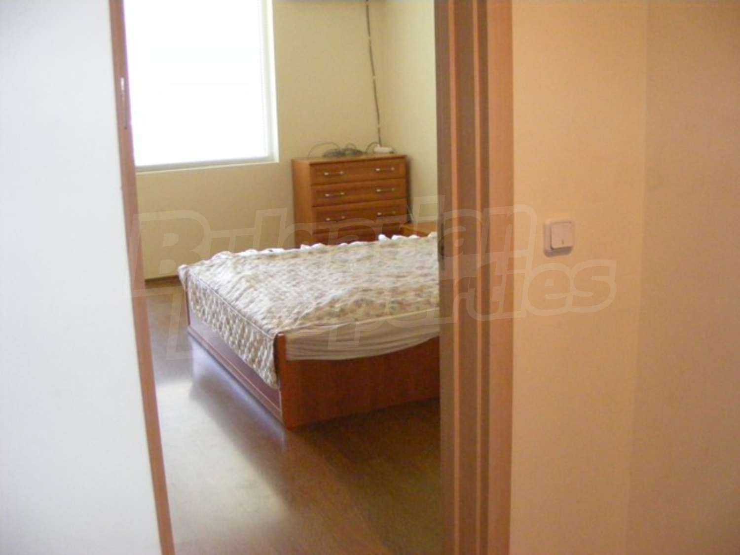 Gallery Picture 11