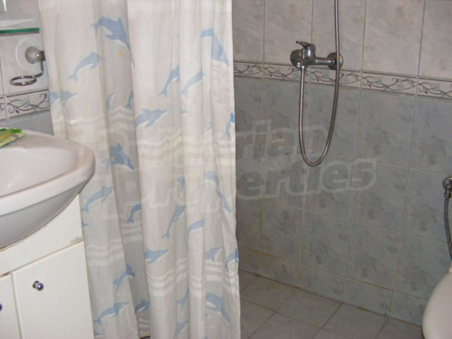 Gallery Picture 15