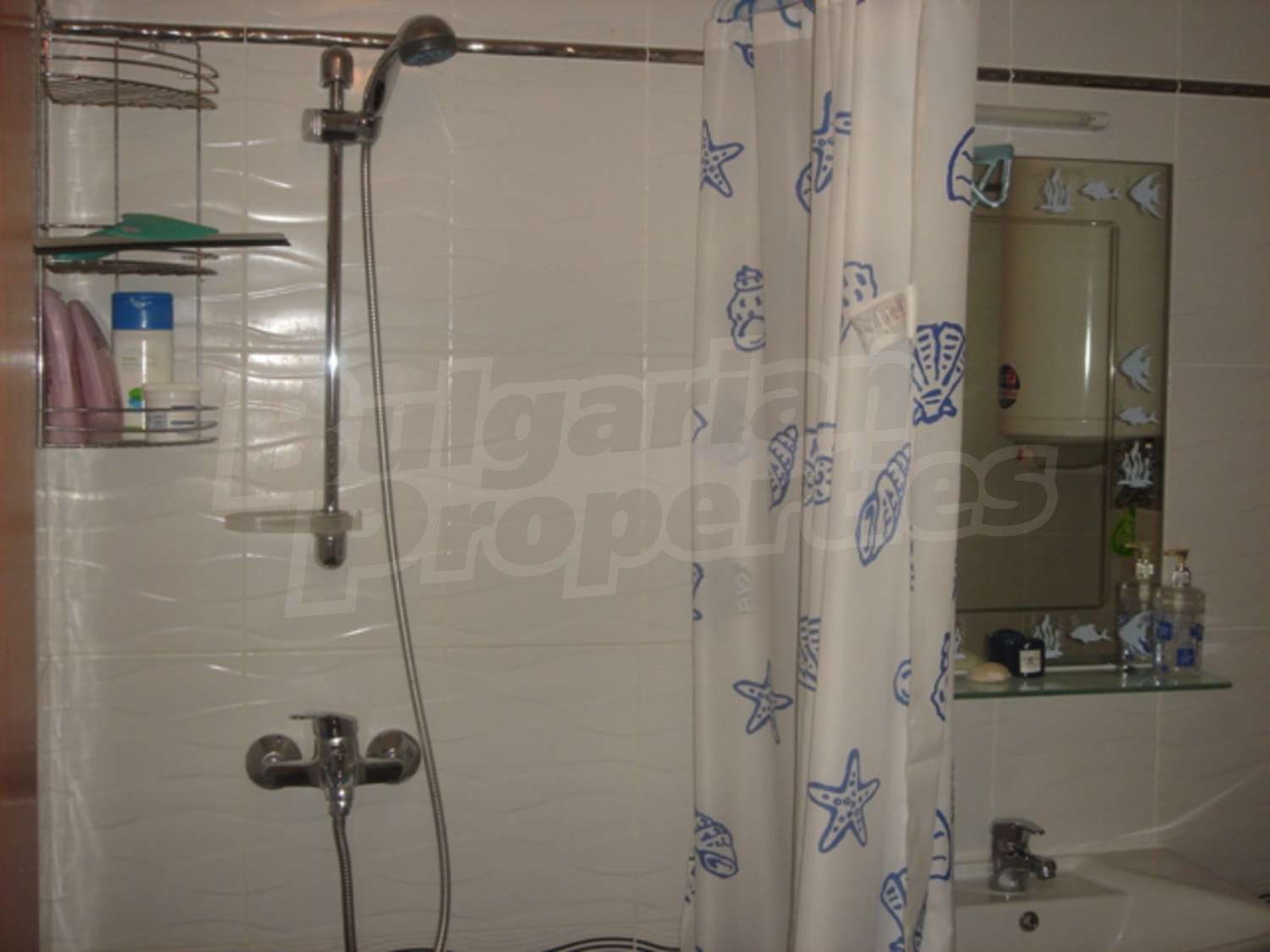 Gallery Picture 10