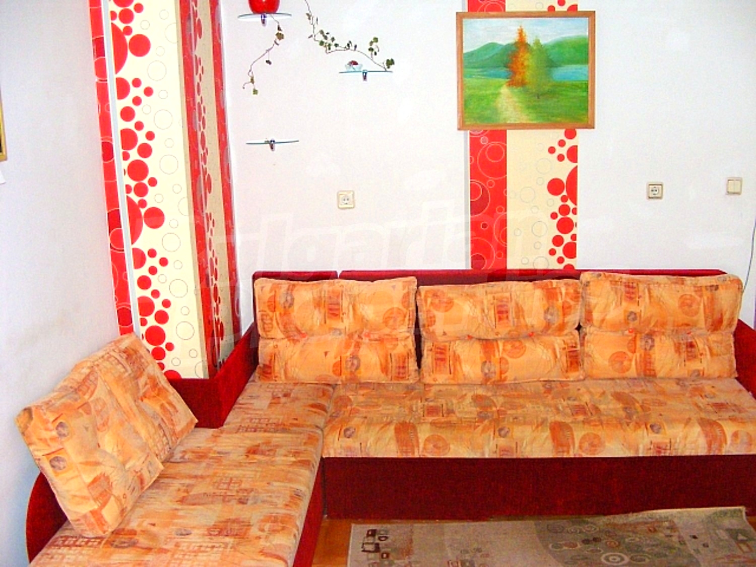 Gallery Picture 21