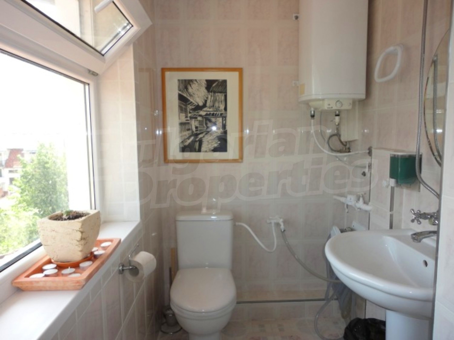 Gallery Picture 15