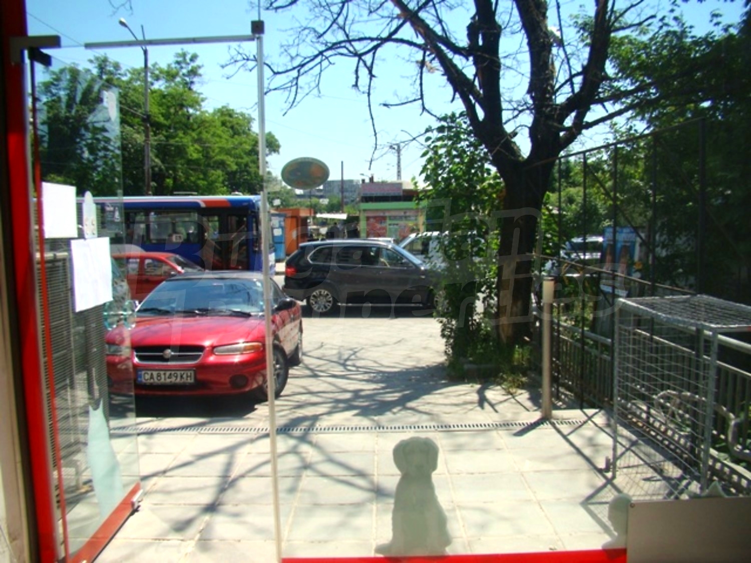 Gallery Picture 10