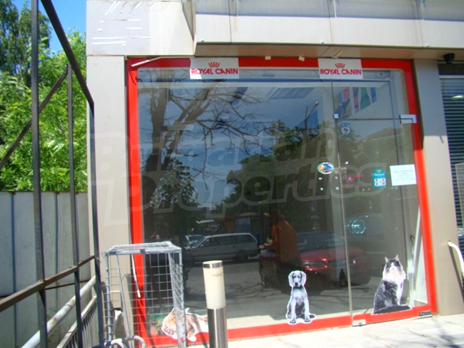 Gallery Picture 6