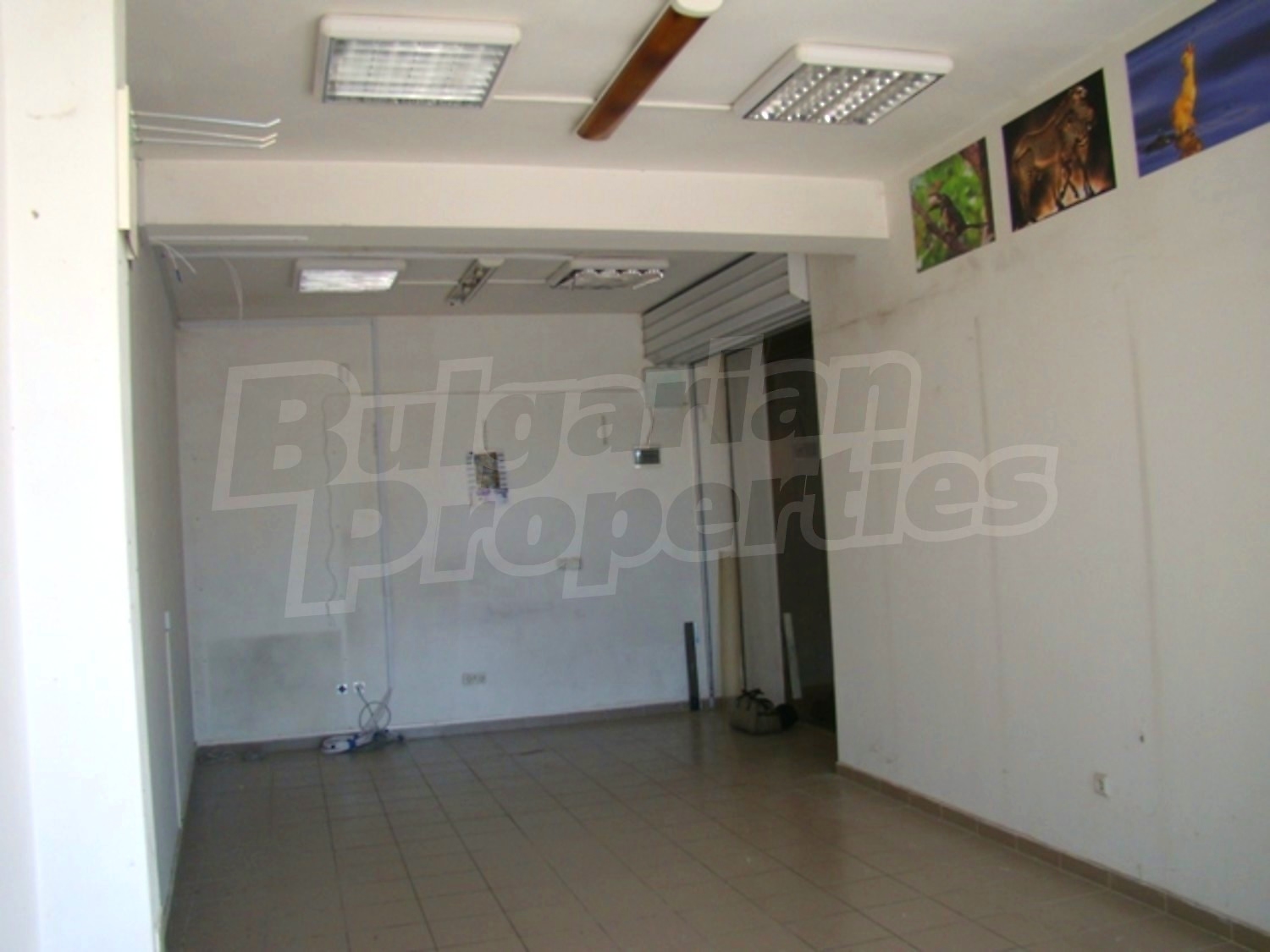 Gallery Picture 7