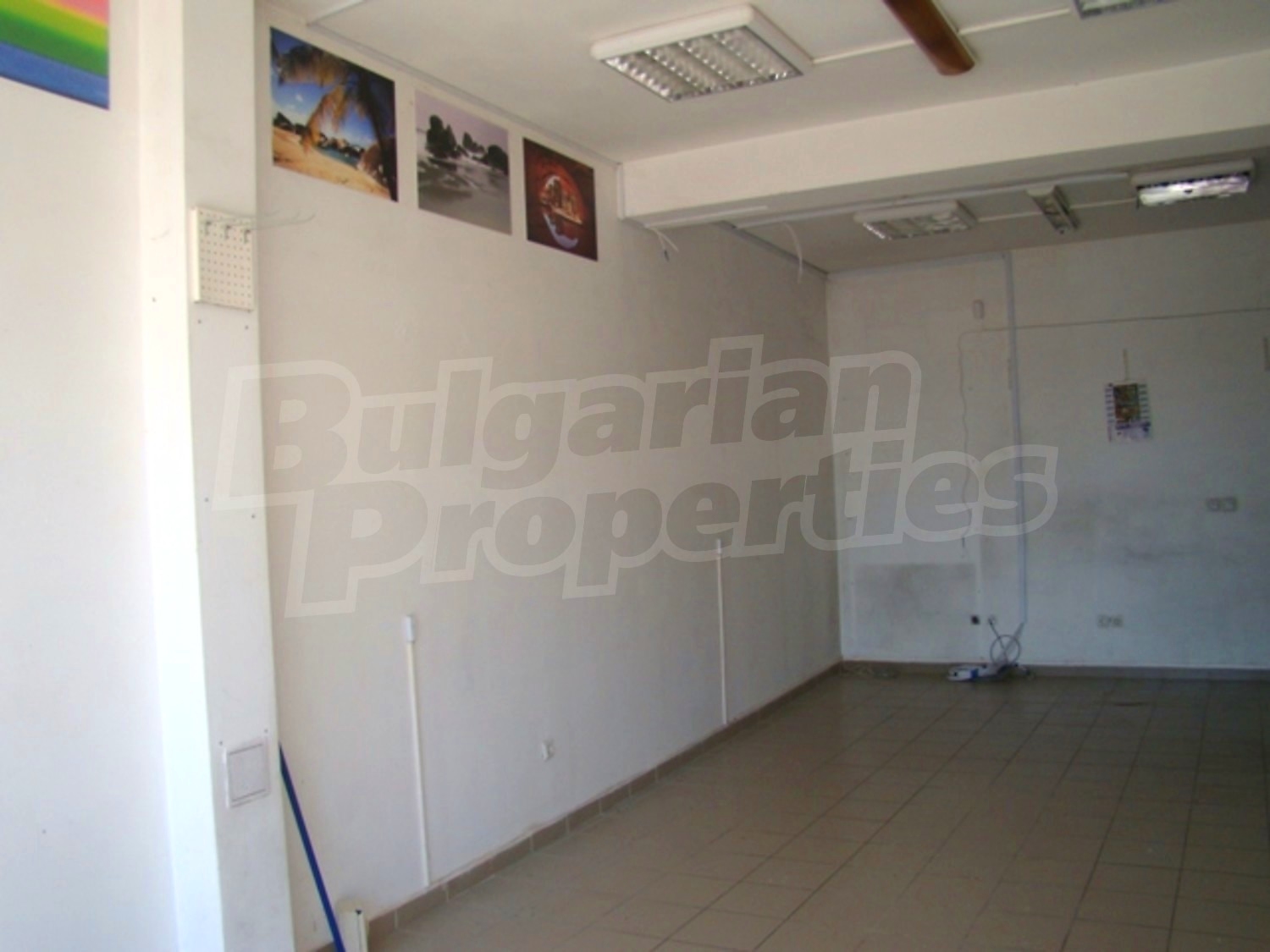 Gallery Picture 8