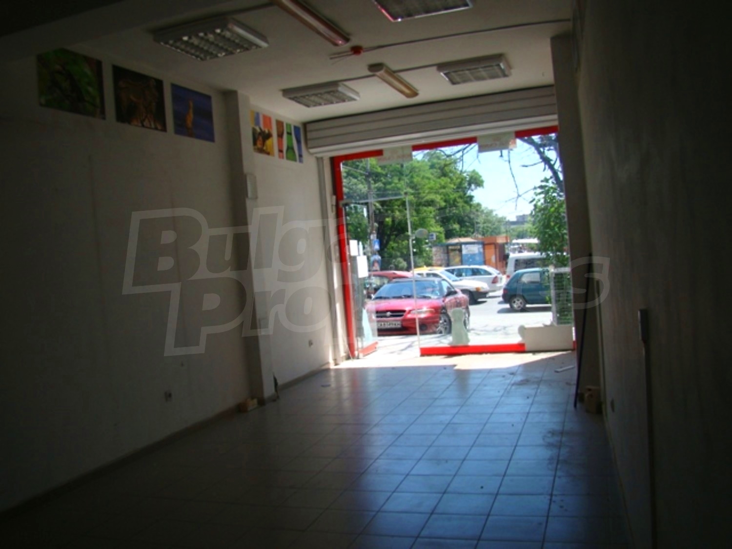 Gallery Picture 9
