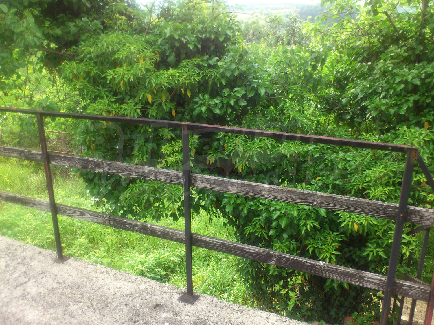 Gallery Picture 10