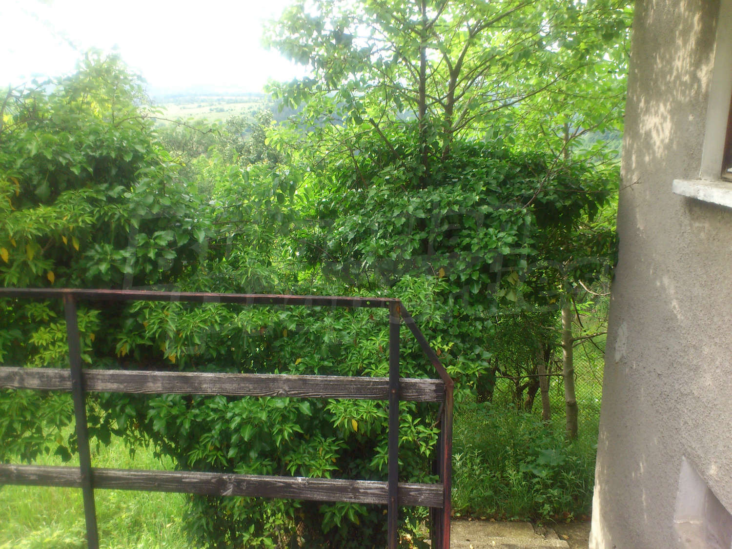 Gallery Picture 11