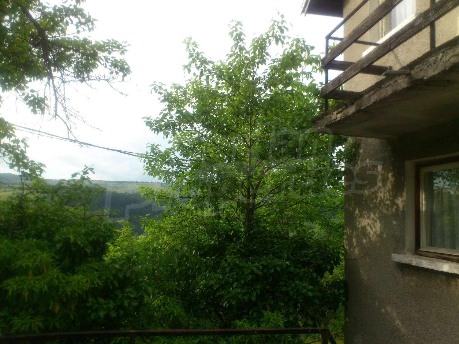 Gallery Picture 12