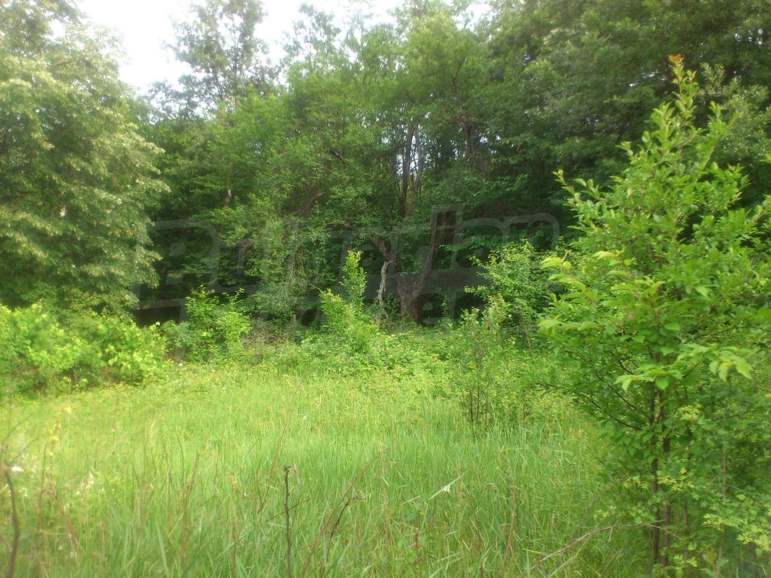 Gallery Picture 14
