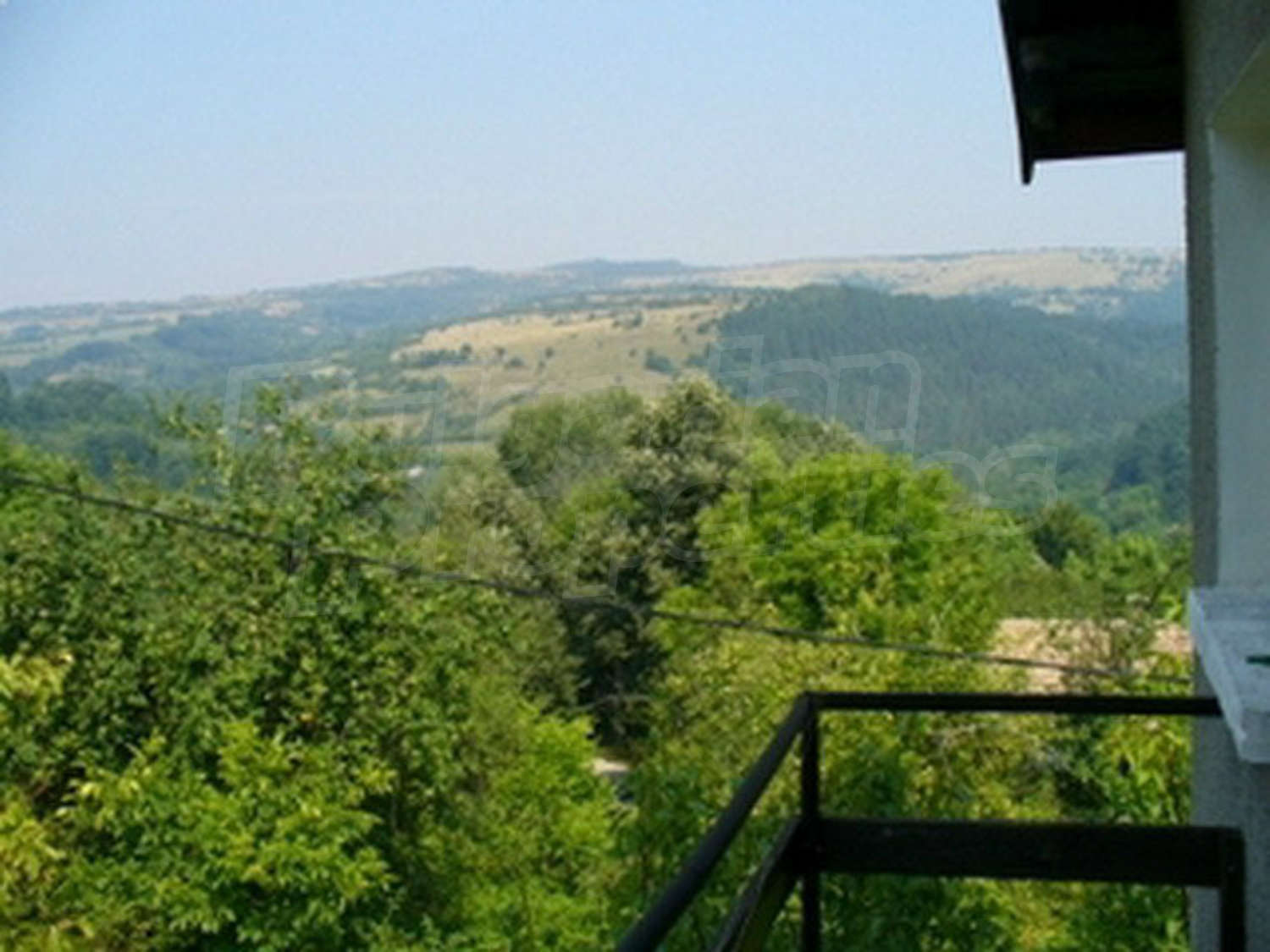 Gallery Picture 25