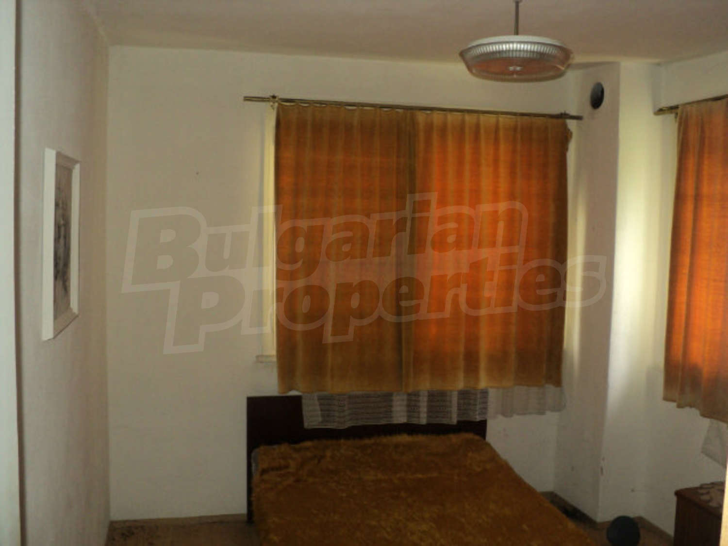 Gallery Picture 26