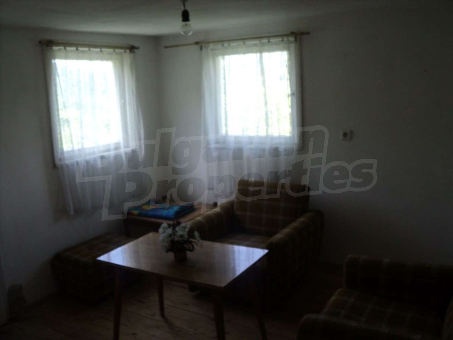 Gallery Picture 29
