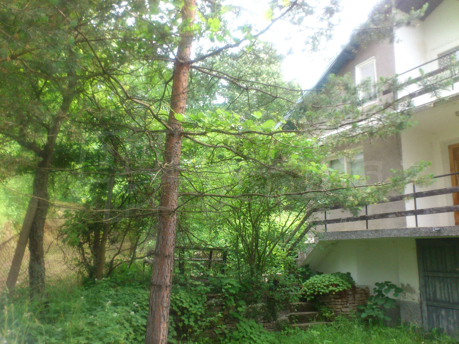 Gallery Picture 3