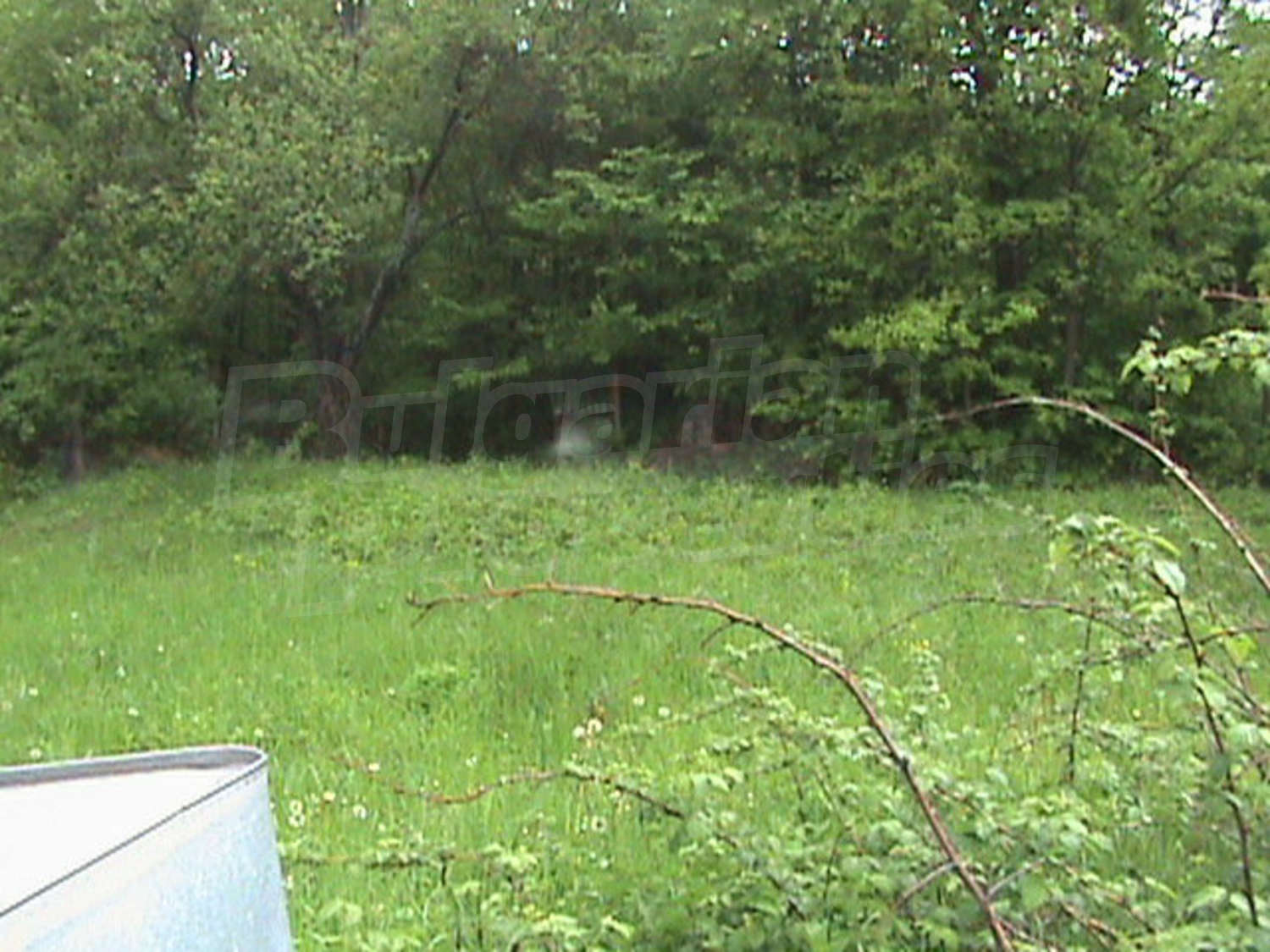 Gallery Picture 33