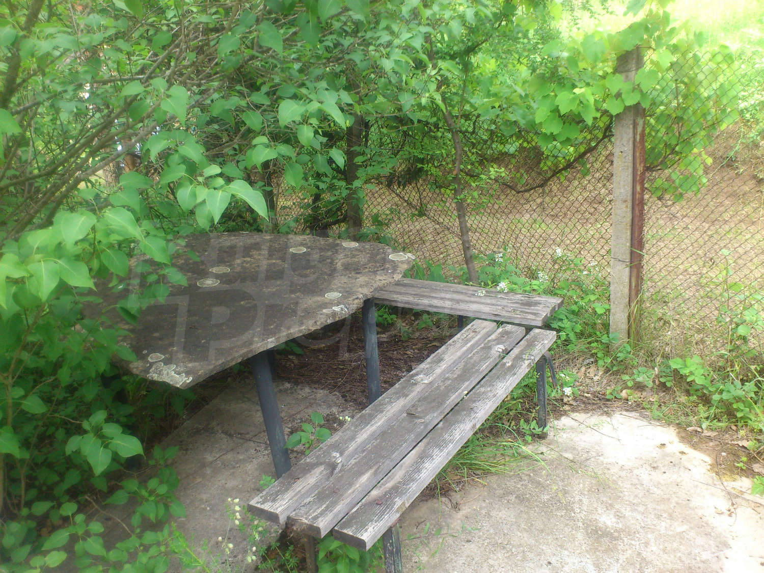 Gallery Picture 6