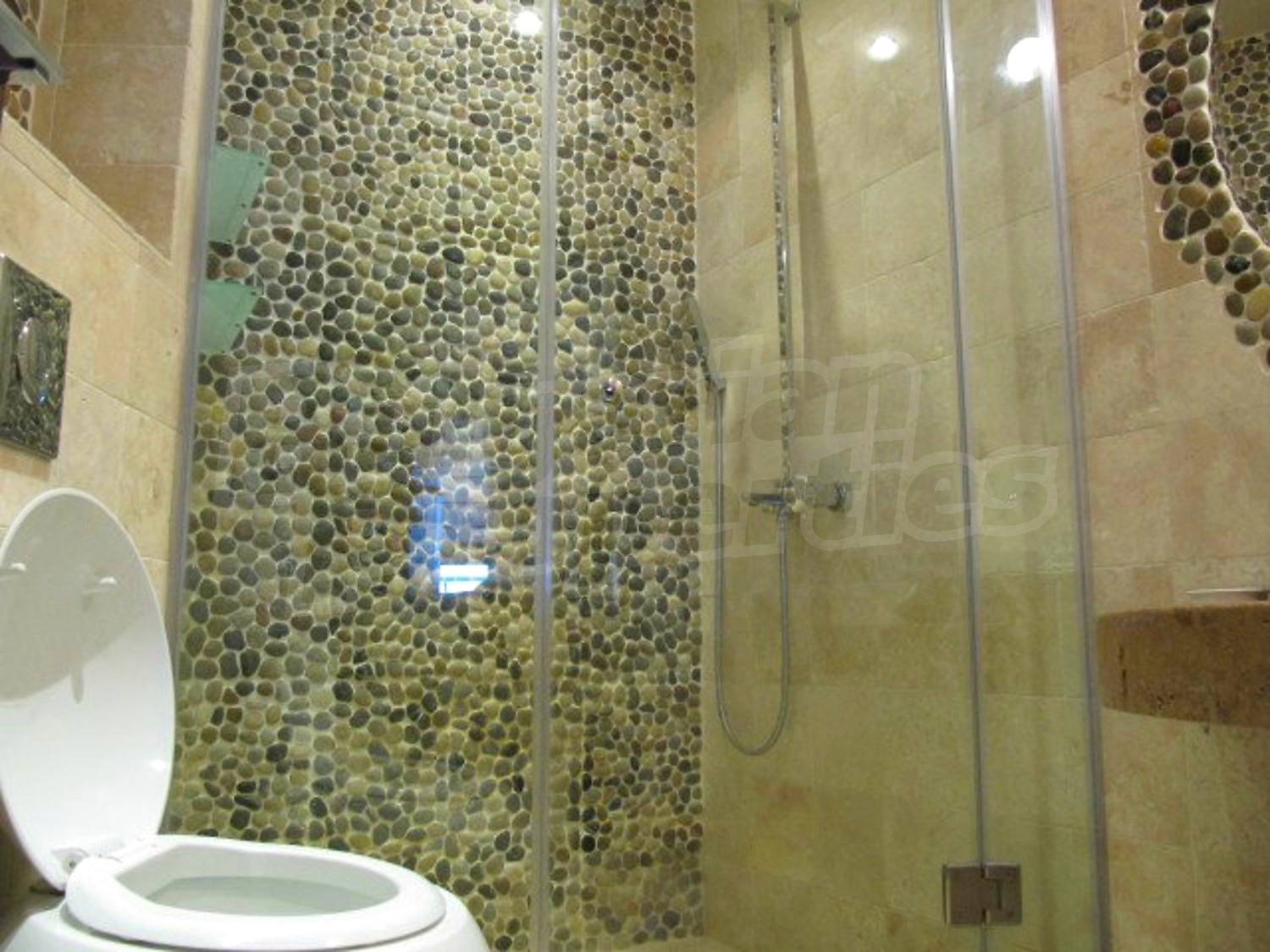 Gallery Picture 26