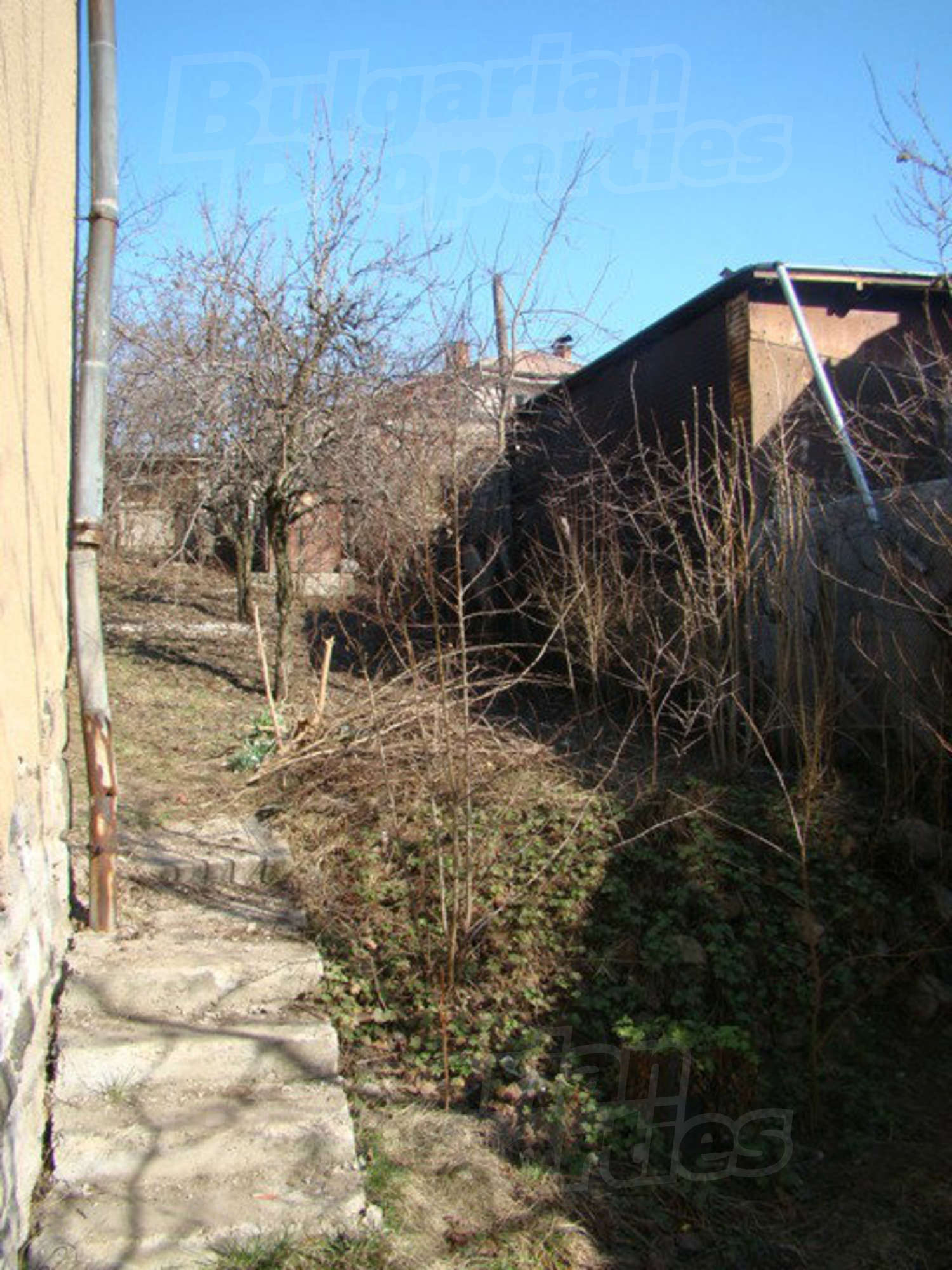 Gallery Picture 13