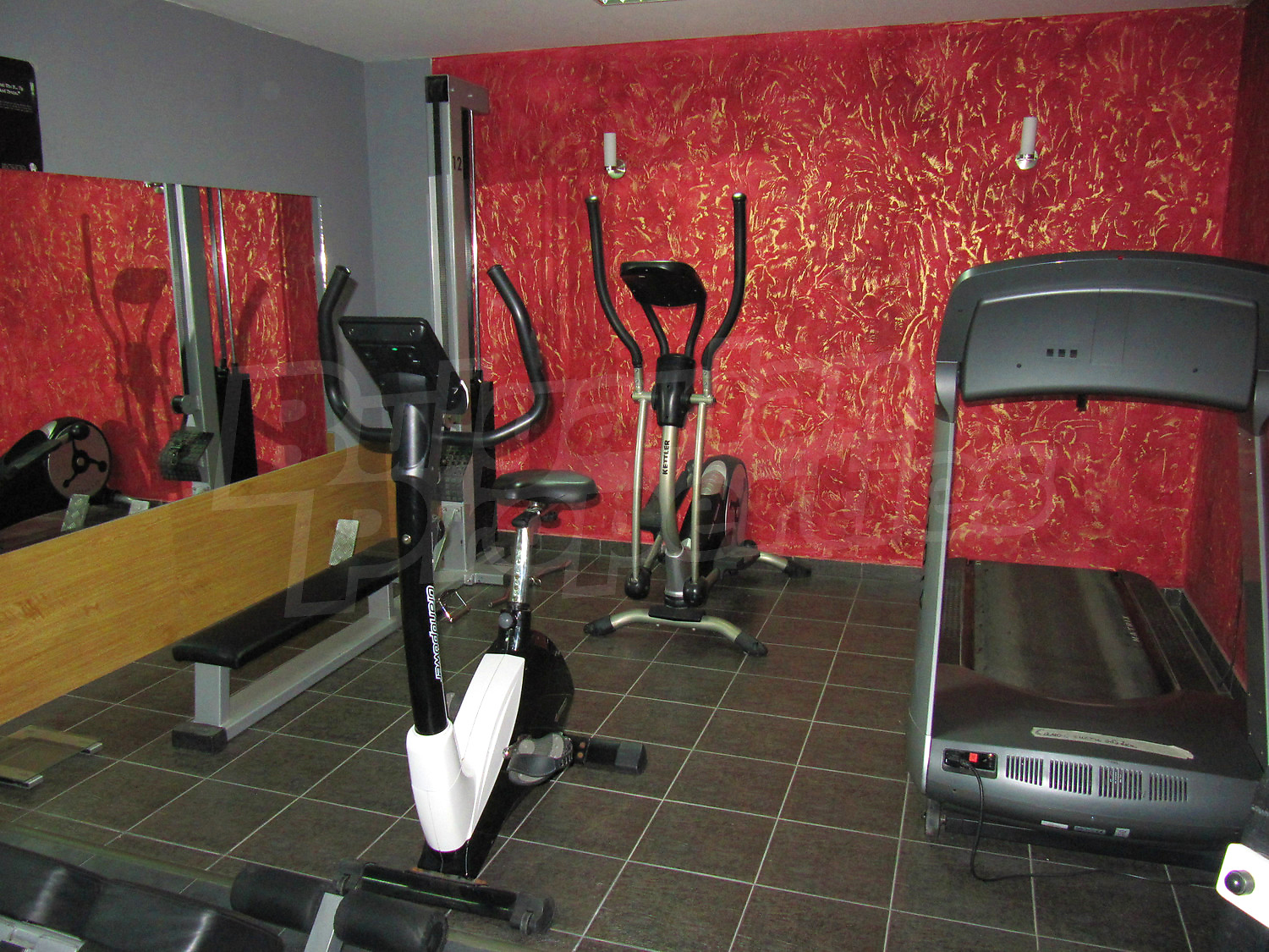 Gallery Picture 13