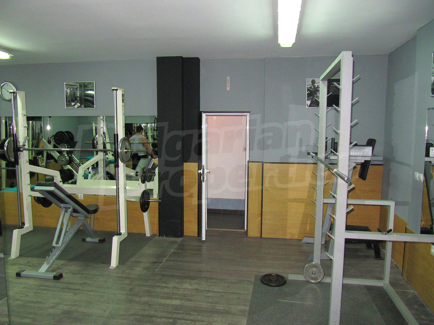 Gallery Picture 14