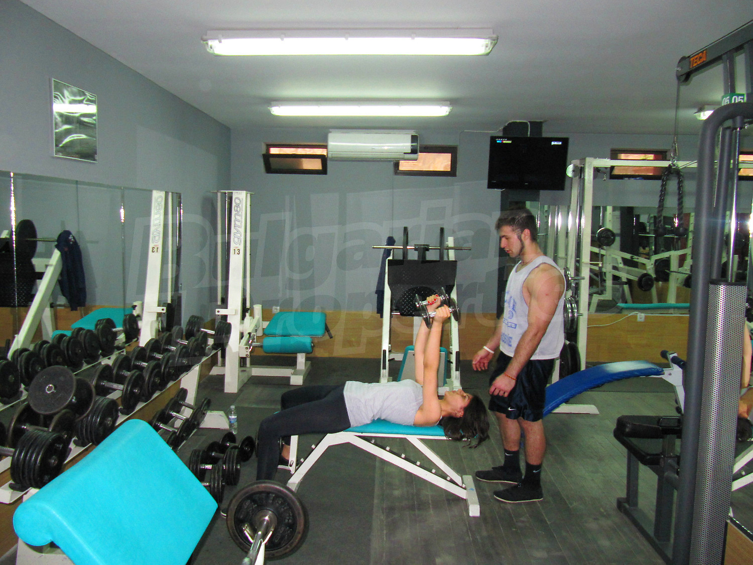 Gallery Picture 15