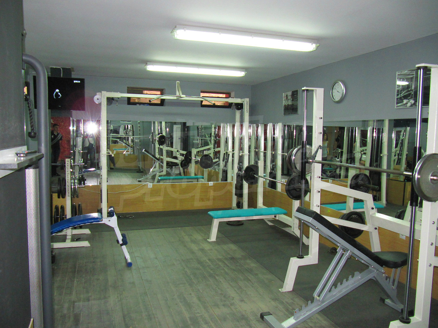 Gallery Picture 16