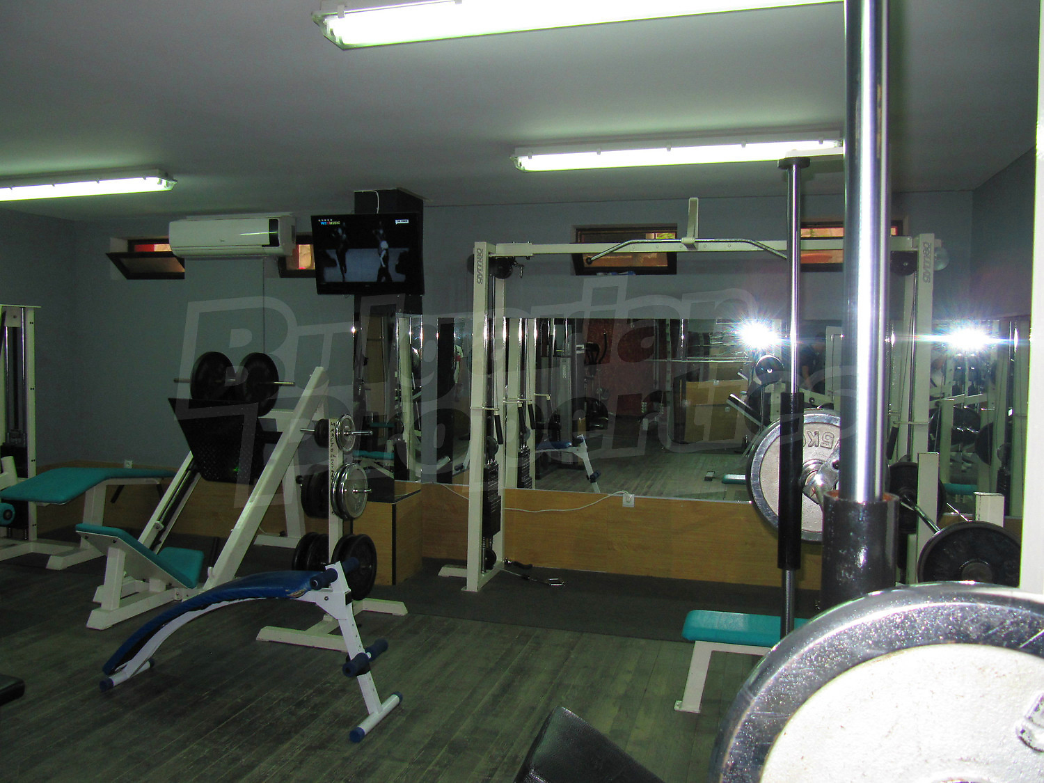 Gallery Picture 17