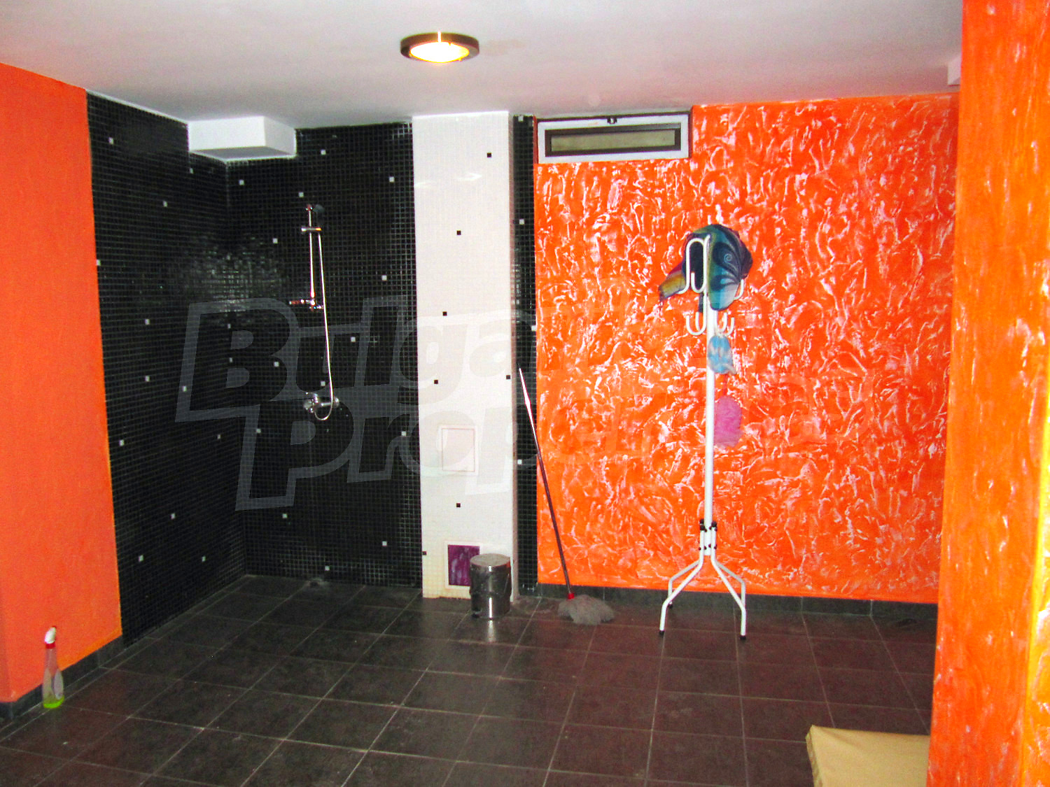 Gallery Picture 19