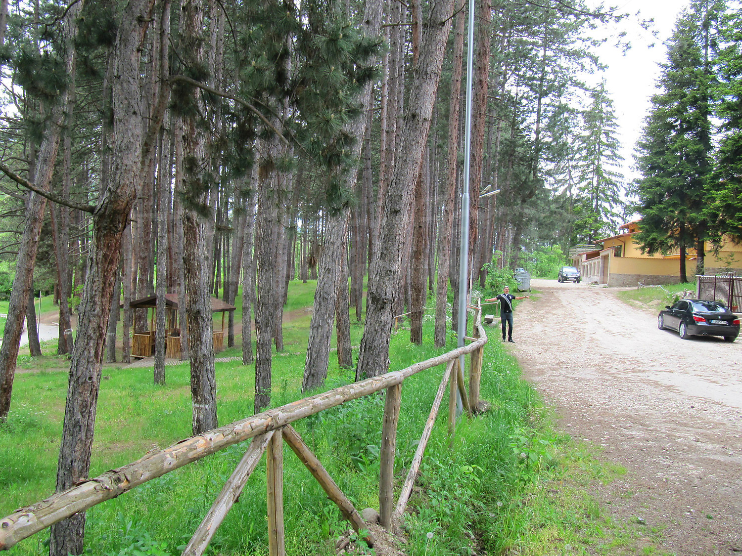 Gallery Picture 23