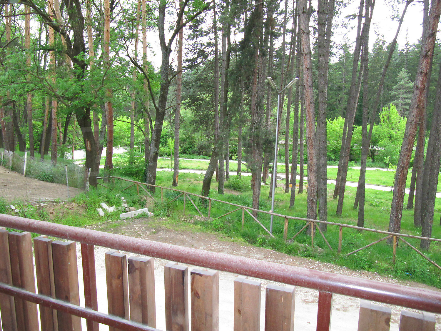 Gallery Picture 7